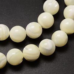 天然石シーシェルビーズ連売り  ラウンド  乳白色  10mm  穴：1mm  約40個/連  15.75インチ&nbsp;SSHEL-K013-10mm-A