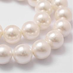 シェルパールビーズ連売り  グレードA  ラウンド  フローラルホワイト  14mm  穴：1mm  約28~29個/連  16インチ&nbsp;BSHE-L026-03-14mm