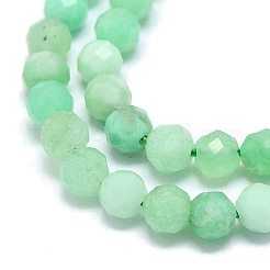 Natural Chrysoprase Beads Strands&nbsp;G-G106-C01-03