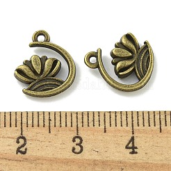 Tibetan Style Alloy Pendants&nbsp;TIBE-I026-6025AB