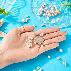 60Pcs 3 Styles Natural Cultured Freshwater Pearl Beads&nbsp;PEAR-TA0001-24
