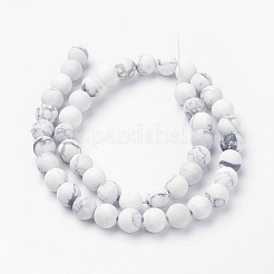 Natural Howlite Bead Strands&nbsp;G-G735-66F-8mm