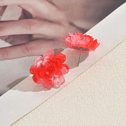 Resin Stud Earrings for Women&nbsp;WV5243