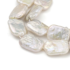 天然ケシパールビーズ連売り  バロック真珠  長方形  貝殻色  19~24.5x14~16x4~7mm  穴：0.9mm  約22個/連  15.59''（39.6センチメートル）&nbsp;PEAR-B003-01