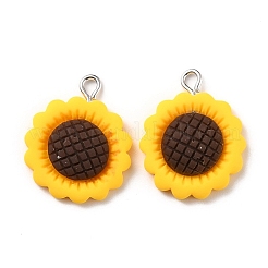 Resin Pendants&nbsp;RESI-C002-27