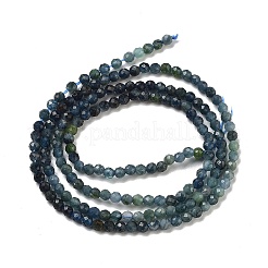 Natural Blue Tourmaline Beads Strands&nbsp;G-B088-C12-02