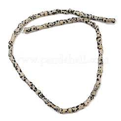 天然石ダルメシアンジャスパービーズ連売り  竹の共同  12x5mm  穴：1.2mm  約37個/連  14.96''（38センチメートル）&nbsp;GG-CBAEB22-A03-01