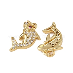 Brass Micro Pave Cubic Zirconia Pendants&nbsp;KK-L241-13G