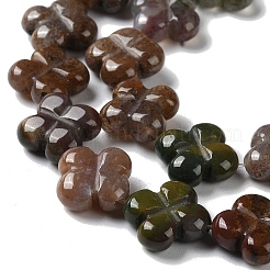 天然石インディアン瑪瑙ビーズ連売り  花  13~14x13~14x5~5.5mm  穴：1.2mm  約15個/連  7.95''（20.2センチメートル）&nbsp;G-M418-D09-01
