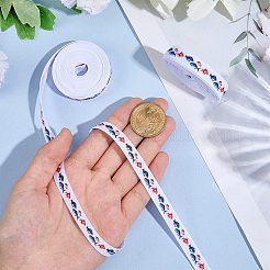 Polyester Ribbon&nbsp;OCOR-WH20061-010