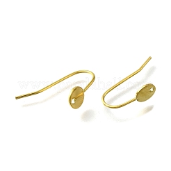 304 Stainless Steel Earring Hooks&nbsp;STAS-B087-09A-G