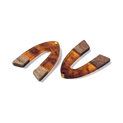 Resin & Wood Pendants&nbsp;WOOD-F015-16C