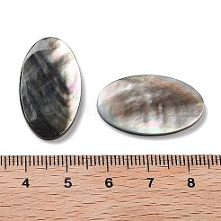 Natural Black Lip Shell Cabochons&nbsp;SSHEL-D084-04A
