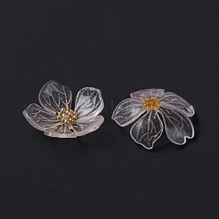 Transparent Resin Cabochons&nbsp;X-RESI-L035-19