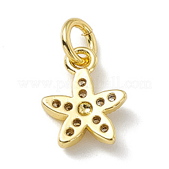 Brass Micro Pave Cubic Zirconia Charms&nbsp;ZIRC-F132-99G