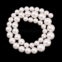 Electroplated Glass Pearl Graduated Beads Strands&nbsp;BSHE-C011-03B