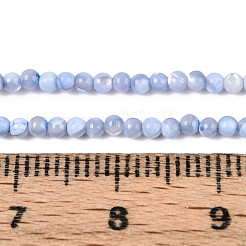 Dyed Natural Trochid Shell/Trochus Shell Beads Strands&nbsp;SSHEL-T017-13M