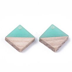 Resin & Wood Pendants&nbsp;RESI-S358-31E
