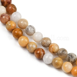 Natural Crazy Lace Agate Round Bead Strands&nbsp;G-P075-16-4mm
