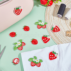 12Pcs 3 Styles Strawberry Computerized Embroidery Cloth Iron on/Sew on Patches&nbsp;PATC-PH0001-36