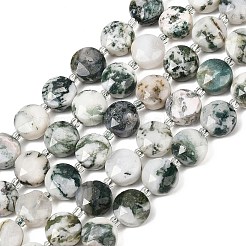 Natural Tree Agate Beads Strands&nbsp;G-F812-C05-01
