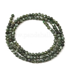 Natural Seraphinite Beads Strands&nbsp;G-K376-A02-3mm