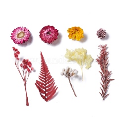 ドライフラワー  DIYキャンドルソープ作りアクセサリー  プラスチック製の長方形の箱付き  ミックスカラー  2.9~14x2.2~9cm&nbsp;DIY-D052-18