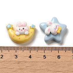 Opaque Cartoon Resin Decoden Cabochons&nbsp;RESI-G091-06