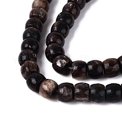 Natural Biotite Beads Strands&nbsp;G-Q616-02A-11
