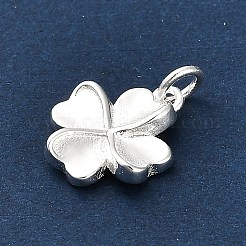 925 Sterling Silver Charms&nbsp;FIND-Z069-04S-C