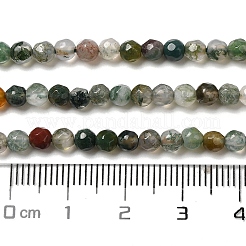 Natural Tree Agate Beads Strands&nbsp;G-H302-A03-02