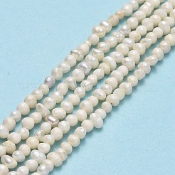 天然養殖淡水パールビーズ連売り  ポテト  ベージュ  2.5~3x3.5~4.5x3~4mm  穴：0.5mm  約119~124個/連  13.78~13.90インチ（35~35.3cm）&nbsp;PEAR-F018-11