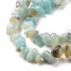 Natural Flower Amazonite Chips Beads Strands&nbsp;G-M205-12B
