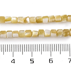 Natural Trochus Shell Beads Strands&nbsp;BSHE-S304-09A