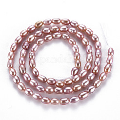 Natural Cultured Freshwater Pearl Beads Strands&nbsp;PEAR-N012-02D
