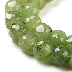 Natural Prehnite Beads Strands&nbsp;G-H028-A05-01