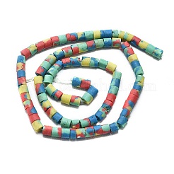 Dyed Synthetic Turquoise Beads Strands&nbsp;G-D356-B01-01