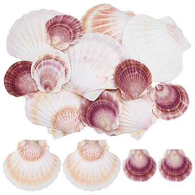 2 Styles Natural Shell&nbsp;SSHEL-WR0001-06A-1