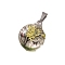 5Pcs Dried Flower Glass Pendants, Flat Round, Yellow, 32x20mm