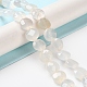 Natural White Agate Beads Strands&nbsp;G-K357-B16-01-1