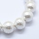 Shell Pearl Beads Strands&nbsp;BSHE-K053-02-20mm-3