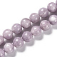 Natural Lepidolite Beads Strands&nbsp;G-H247-11B-1