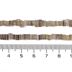 手作りランプワークビーズ連売り  シードビーズ付きスクエア  淡い茶色  4x4x2~3mm  穴：0.8mm  約157個/連  15.75''（40センチメートル）&nbsp;LAMP-Q037-02A-05