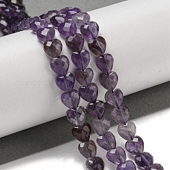 Natural Amethyst Beads Strands&nbsp;G-P544-E07-01