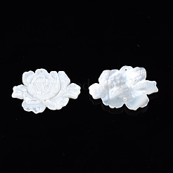 Natural White Shell Link Connectors&nbsp;SSHEL-S258-103A