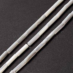 天然トロチッドシェル/トロカスシェルビーズ  ストレートチューブ  貝殻色  14x3.5~4mm  穴：0.8mm  約29個/連  15.98インチ（40.6cm）&nbsp;SSHEL-O001-26B