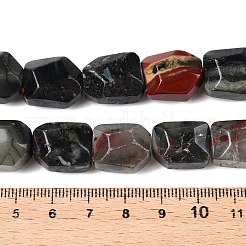 天然のアフリカブラッドストーンビーズ連売り  多面カット  ナゲット  16~17x12~13.5x10.5~13mm  穴：1.2mm  約13個/連  8.46~8.66インチ（21.5~22cm）&nbsp;G-N342-147