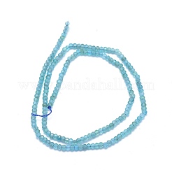 天然石アパタイトビーズ連売り  ロンデル  多面カット  3x2mm  穴：0.5mm  約194個/連  15.3インチ（39cm）&nbsp;G-O172-04B