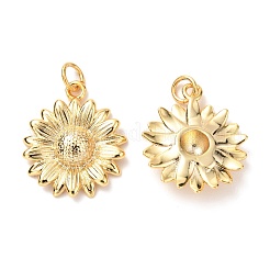 Brass Pendants&nbsp;KK-G399-27