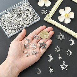 160pcs16スタイルチベットスタイルアロイペンダント  アンティークシルバー  14.5~26x9~22.5x1~3mm  穴：1.4~3mm  10個/スタイル&nbsp;TIBE-YW0002-06-RS